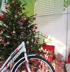 Nrg Bike Di Lorenzo Boscaro