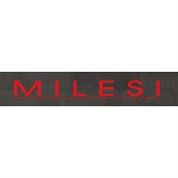 Milesi- Work And Fashion