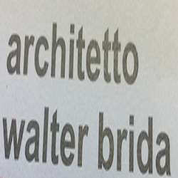 Brida Walter
