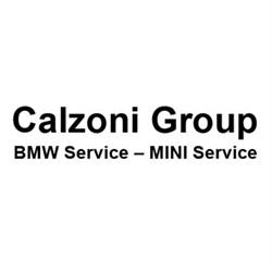 Calzoni Group
