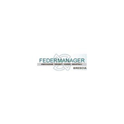 Associazione Dirigenti Aziende Industriali Federmanager