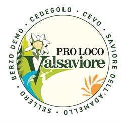 Associazione Pro Loco Valsaviore