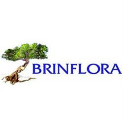 Brinflora Giustizieri Onoranze Funebri - Fioreria