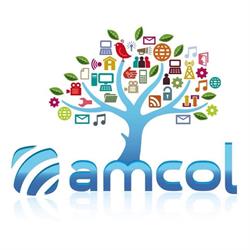 Amcol Direzione Generale Associazione Per La Multimedialita' Delle Com