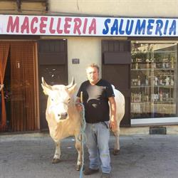 Casolla Carni S.A.S.