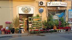 Franceschini Salvatore