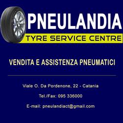 Pneulandia Di Amore Francesco & C. S.a.s.