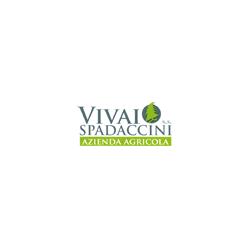 Azienda Agricola Vivai Spadaccini Ss