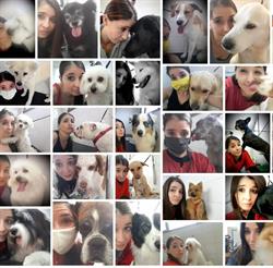 Amici Miei SAS Di Genco Francesca e C.