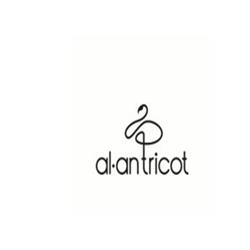 Al-An Tricot S.R.L.