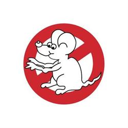Mouse & Co. S.r.l.