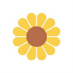 Il Girasole Associazione Famiglie Affidatarie
