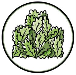 Agraria Braidese