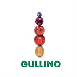 Gullino Group