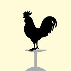 Ristorante Trattoria Il Barrino