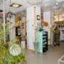 Showroom Cristalensi Lampadari