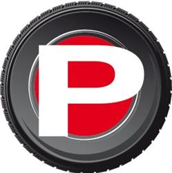 PECCHIOLI GOMME S.A.S. - Driver Center Pirelli FIRENZE