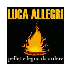 Allegri Luca Legna da Ardere