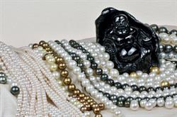 Firenze Shankara SRL