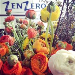 Zenzero Biocatering e Eventi