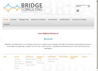 Bridge Consulting SRL