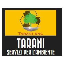 Tarani