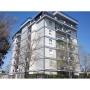 Agenzie Immobiliari