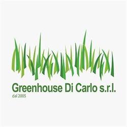Greenhouse Di Carlo SRL