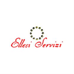 Ellesi Servizi Impresa di Pulizie