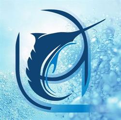 Linea Azzurra S.r.l.