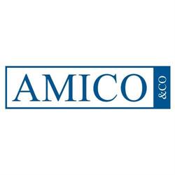 Amico & Co SRL