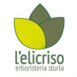 L'elicriso Erboristeria Sturla
