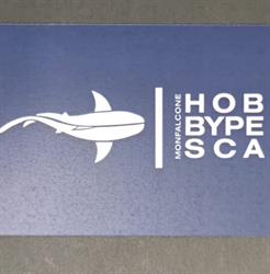 Hobby Pesca