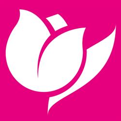 Il Tulipano S.N.C. Di Il Tulipano S.R.L.