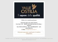 Az. Agricola Valle Ostilia Sdf