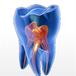 Euro Medico Dentale SRL