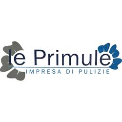 Le Primule