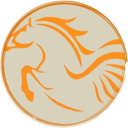Palestra Pegaso