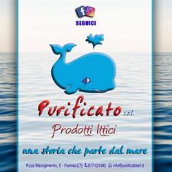 Purificato S.r.l.