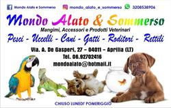 Mondo Alato e Sommerso