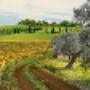 Agricoltura - Attrezzi, Prodotti e Forniture