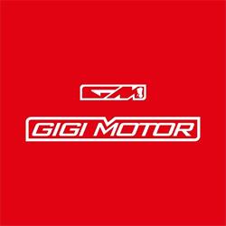 Gigi Motor