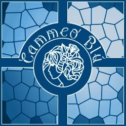 Cammeo Blu Di Piccinni Maria Ada