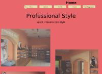 Professional Style