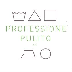 Professione Pulito SRL