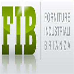 F.I.B. srl