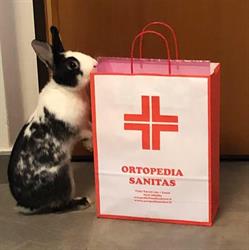 Ortopedia Sanitas