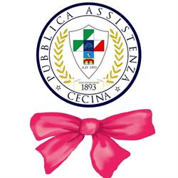 Società di Pubblica Assistenza