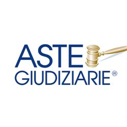 Aste Giudiziarie Inlinea
