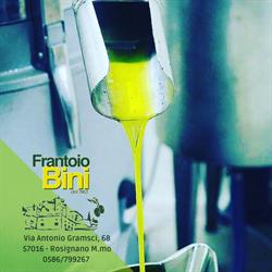Frantoio Oleario Di Bini Paola